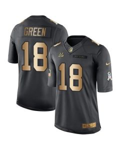 Bengals #18 A.J. Green Black Men's Stitched NFL Limited Gold Salute To Service Jersey