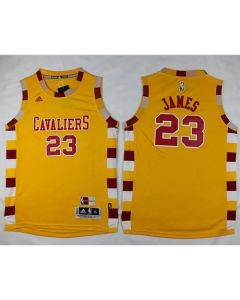 Cavaliers #23 LeBron James Gold Hardwood Classics Performance Stitched Youth NBA Jersey