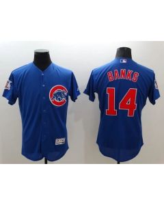 Cubs #14 Ernie Banks Blue Flexbase Authentic Collection Stitched MLB Jersey