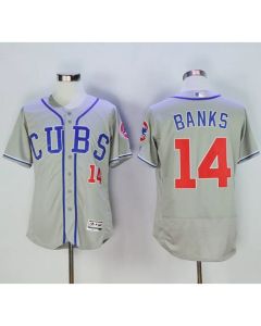 Cubs #14 Ernie Banks Grey Flexbase Authentic Collection Alternate Road Stitched MLB Jersey
