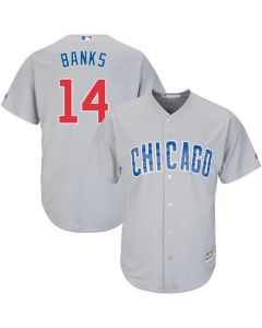 Cubs #14 Ernie Banks Grey Road Stitched Youth MLB Jersey