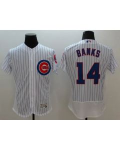 Cubs #14 Ernie Banks White Flexbase Authentic Collection Stitched MLB Jersey
