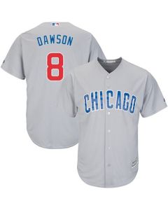 Cubs #8 Andre Dawson Grey Road Stitched Youth MLB Jersey