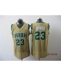 Heat #23 LeBron James Earth Yellow Irish High School Stitched NBA Jersey