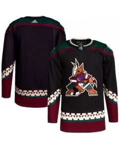 Men's Arizona Coyotes Blank Black Stitched Jersey