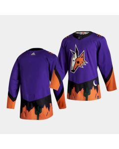 Men's Arizona Coyotes Blank Purple 2020-21 Reverse Retro Stitched NHL Jersey