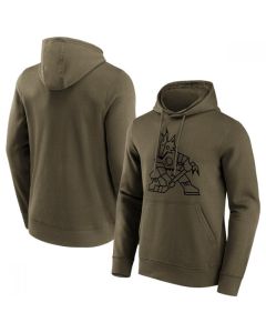 Men's Arizona Coyotes Khaki Iconic Preferred Logo Graphic Hoodie