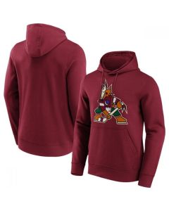 Men's Arizona Coyotes Red Iconic Primary Colour Logo Graphic Hoodie
