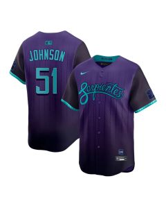 Men's Arizona Diamondbacks #51 Randy Johnson Purple 2025 City Connect Limited Player Jersey