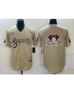 Men's Arizona Diamondbacks Cream City Connect Team Big Logo Cool Base Stitched Baseball Jersey
