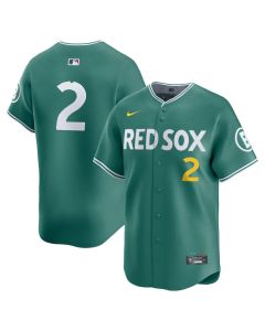 Men's Boston Red Sox #2 Alex Bregman Green 2025 City Connect Limited Player Jersey (City Connect)