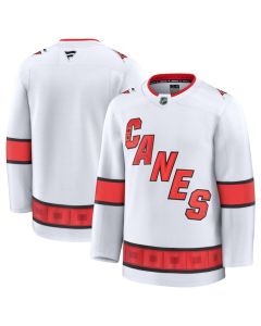 Men's Carolina Hurricanes Blank White 2024-25 Away Stitched Hockey Jersey