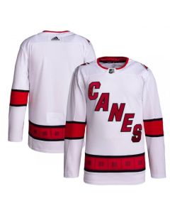 Men's Carolina Hurricanes Blank White Stitched NHL Jersey