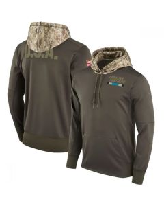 Men's Carolina Panthers Olive Salute to Service Sideline Therma Pullover Hoodie