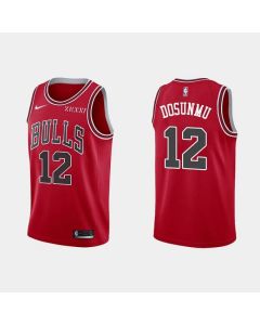 Men's Chicago Bulls #12 Ayo Dosunmu Red Stitched Basketball Jersey (Red)