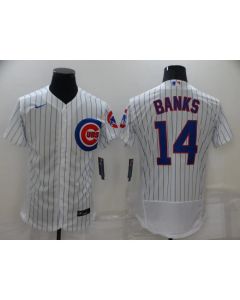 Men's Chicago Cubs #14 Ernie Banks White Flex Base Stitched Jersey