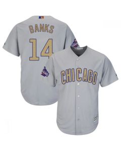 Men's Chicago Cubs #14 Ernie Banks World Series Champions Grey Program Cool Base Stitched MLB Jersey