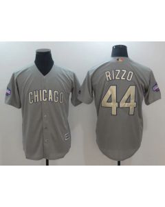 Men's Chicago Cubs #44 Anthony Rizzo World Series Champions Grey Program Cool Base Stitched MLB Jersey (Grey)