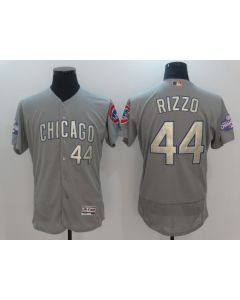 Men's Chicago Cubs #44 Anthony Rizzo World Series Champions Grey Program Flexbase Stitched MLB Jersey (Grey)