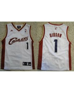 Men's Cleveland Cavaliers #1 Daniel Gibson White Stitched NBA Jersey