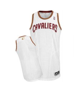 Men's Cleveland Cavaliers White Revolution 30 Jersey