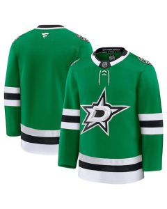 Men's Dallas Stars Blank Green 2024-25 Home Stitched Hockey Jersey