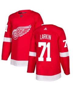 Men's Detroit Red Wings #71 Dylan Larkin Red Stitched NHL Jersey