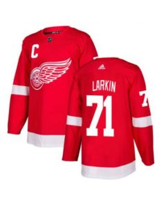 Men's Detroit Red Wings #71 Dylan Larkin Red Stitched NHL Jersey (Red)