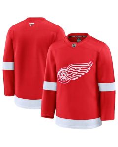 Men's Detroit Red Wings Blank Red 2024-25 Home Stitched Hockey Jersey