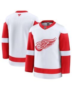 Men's Detroit Red Wings Blank White 2024-25 Away Stitched Hockey Jersey