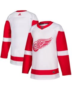 Men's Detroit Red Wings Blank White Stitched Jersey