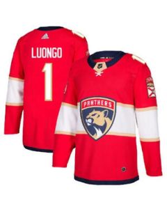 Men's Florida Panthers #1 Roberto Luongo Red Stitched NHL Jersey