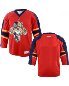 Men's Florida Panthers Blank Red Stitched Jersey