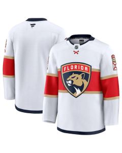 Men's Florida Panthers Blank White 2024-25 Away Stitched Hockey Jersey