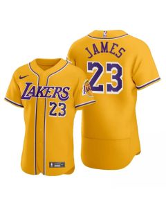 Men's Los Angeles Lakers #23 LeBron James 2020 Gold NBA X MLB Crossover Edition Stitched Jersey