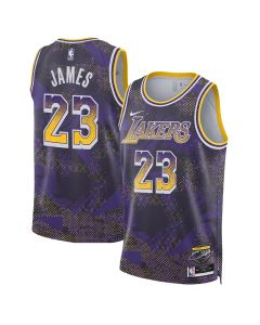 Men's Los Angeles Lakers #23 LeBron James Purple 2025/26 Select Series Jersey