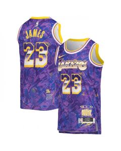 Men's Los Angeles Lakers #23 LeBron James Purple Select Series MVP Swingman Stitched NBA Jersey