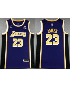 Men's Los Angeles Lakers #23 LeBron James Purple Stitched Basketball Jersey (Purple)
