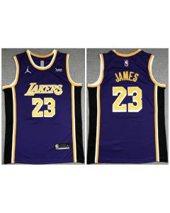 Men's Los Angeles Lakers #23 LeBron James Purple Stitched Jersey (Purple)
