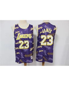 Men's Los Angeles Lakers #23 LeBron James Purple Tear Up Pack Hardwood Classics Swingman Stitched Jersey