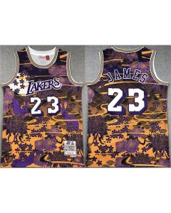 Men's Los Angeles Lakers #23 LeBron James Purple/Yellow Throwback basketball Jersey