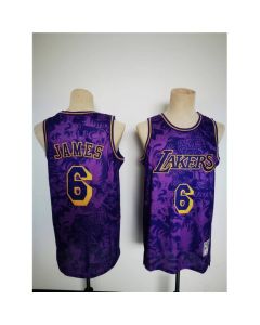 Men's Los Angeles Lakers #6 LeBron James 2022 Purple Lunar New Year Tiger CNY 4.0 HWC Stitched Basketball Jersey