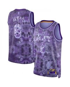 Men's Los Angeles Lakers #6 LeBron James Purple Select Series Stitched Basketball Jersey