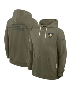 Men's Minnesota Vikings Olive 2025 Salute to Service Pullover Hoodie
