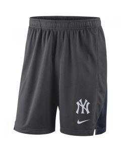 Men's New York Yankees Anthracite Franchise Performance Shorts