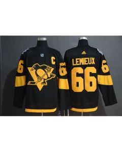 Men's Pittsburgh Penguins #66 Mario Lemieux Black 2019 Stadium Series Stitched NHL Jersey