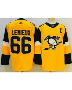 Men's Pittsburgh Penguins #66 Mario Lemieux Gold Stitched NHL Jersey