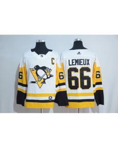 Men's Pittsburgh Penguins #66 Mario Lemieux White Road Authentic Stitched NHL Jersey
