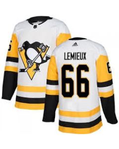 Men's Pittsburgh Penguins #66 Mario Lemieux White Stitched NHL Jersey