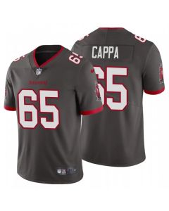 Men's Tampa Bay Buccaneers #65 Alex Cappa New Grey Vapor Untouchable Limited Stitched NFL Jersey